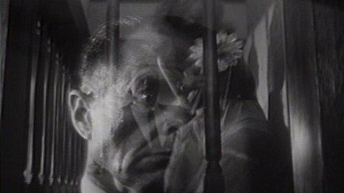 The Glass Cage filmas žiurėti online