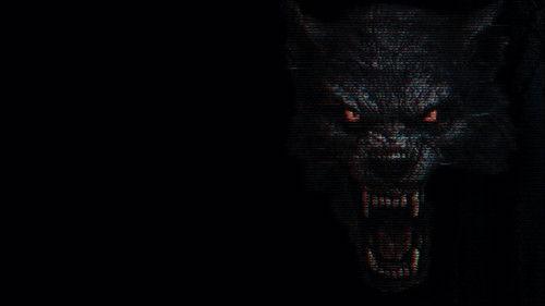 The Fairfield County Four filmas žiurėti online