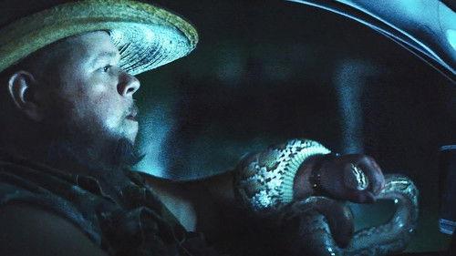 The Python Hunt filmas žiurėti online