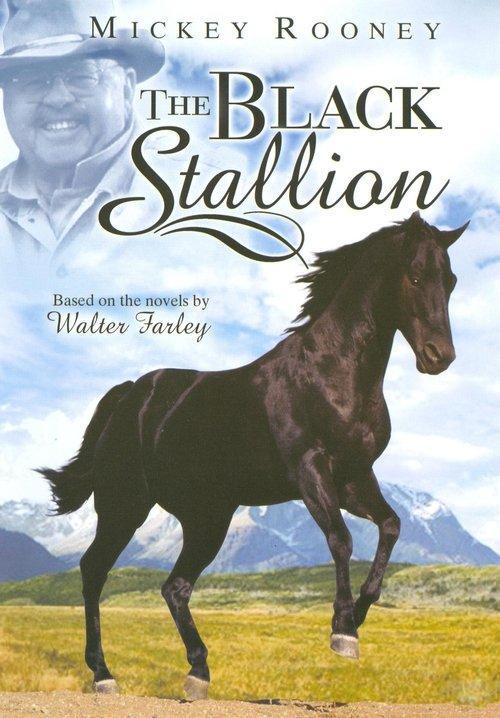 The Adventures of the Black Stallion filmas online