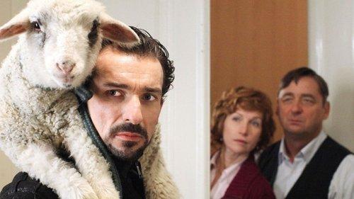 Kebab mit Alles filmas žiurėti online