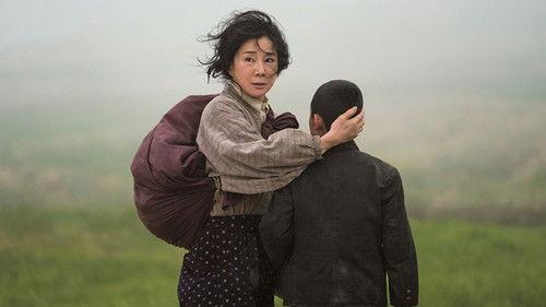 Sakura Guardian in the North filmas žiurėti online