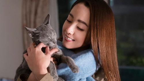 The Cat in Their Arms filmas žiurėti online