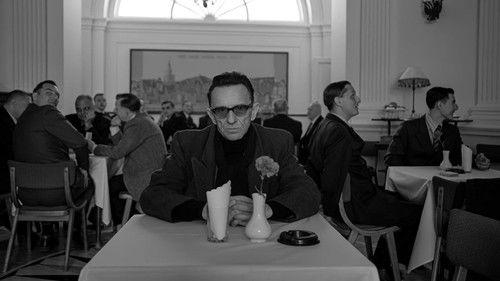 Pan T. filmas žiurėti online