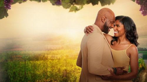 Napa Ever After filmas žiurėti online