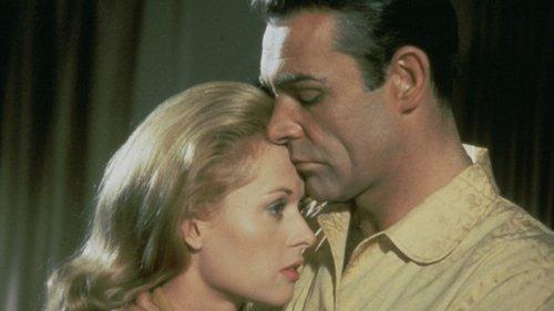 Mr. Kingstreet's War filmas žiurėti online