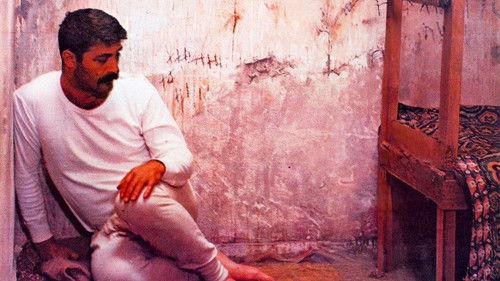 72. Koğuş filmas žiurėti online