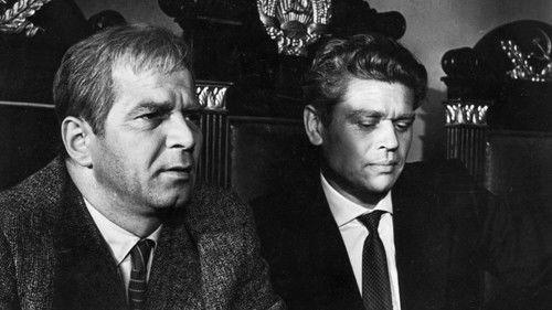 The Chronicle of One Day filmas žiurėti online