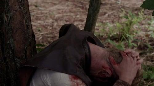 The Lost Viking filmas žiurėti online