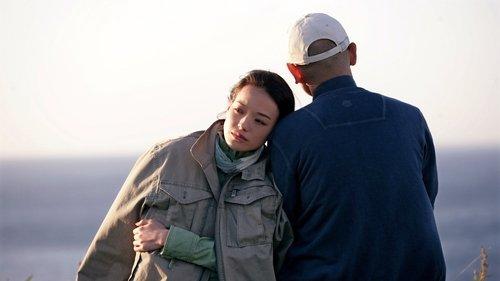 If You Are the One filmas žiurėti online