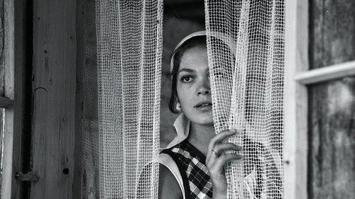 Spring in the Forest filmas žiurėti online