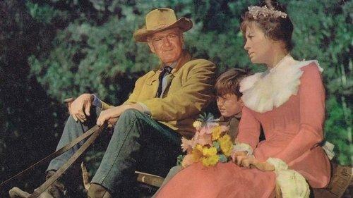 Mail Order Bride filmas žiurėti online