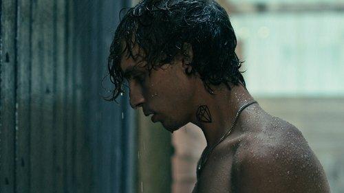 Searching for the Elephant filmas žiurėti online