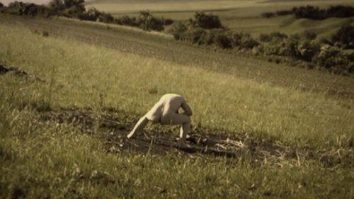 Debris Documentar filmas žiurėti online