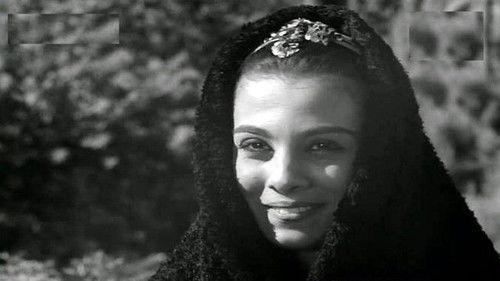 Diary of a Country Prosecutor filmas žiurėti online