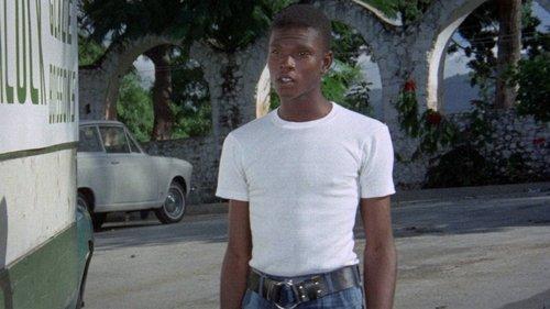 Al tropico del cancro filmas žiurėti online