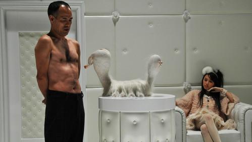 The Warped Forest filmas žiurėti online