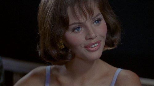 After the Fox filmas žiurėti online