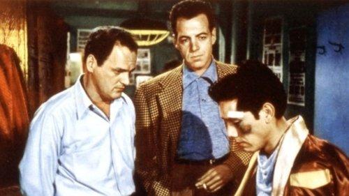 The Ring filmas žiurėti online