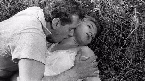 Many Passed By filmas žiurėti online