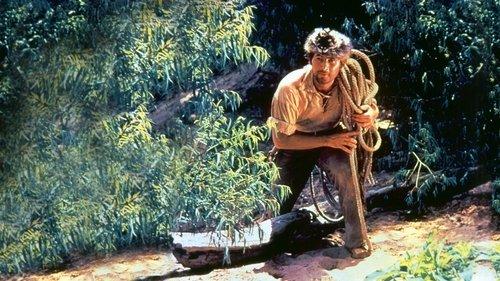 Davy Crockett and the River Pirates filmas žiurėti online