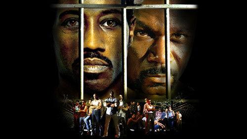 Čempionas filmas žiurėti online