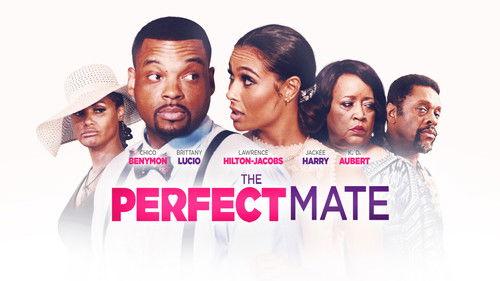 The Perfect Mate filmas žiurėti online