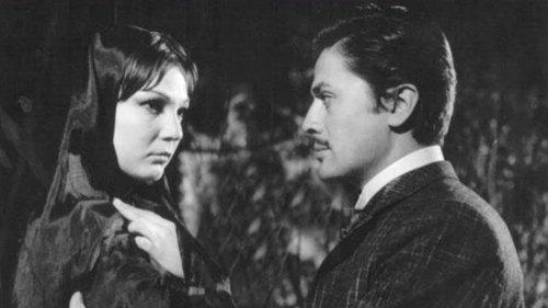 Four Women in a Harem filmas žiurėti online