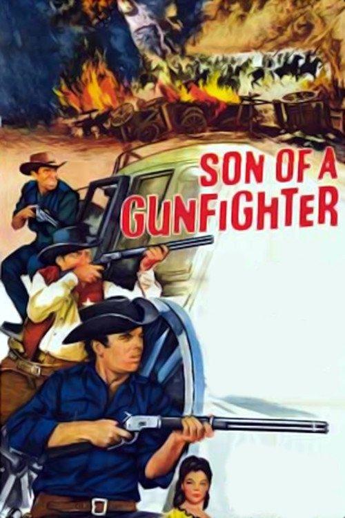 Son of a Gunfighter filmas online