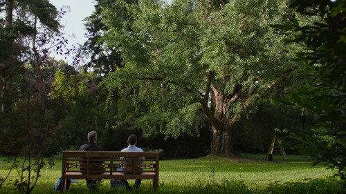 Silent Friend filmas žiurėti online