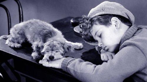 The Mighty McGurk filmas žiurėti online