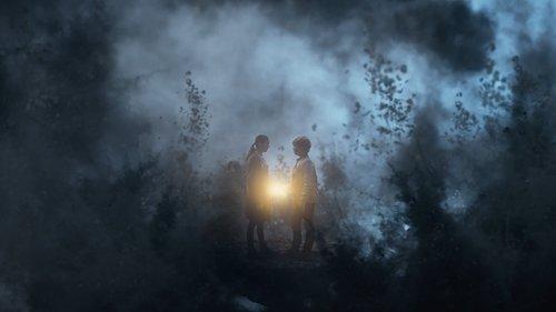 Erikas Akmenširdis filmas žiurėti online