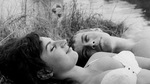 The Sun in a Net filmas žiurėti online