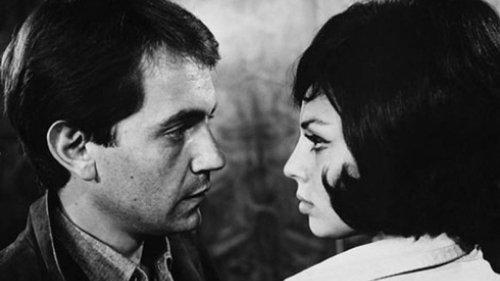 The Amorous Ones filmas žiurėti online