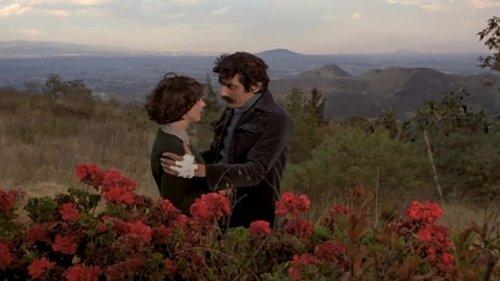 Everyone's Hell So Feared filmas žiurėti online