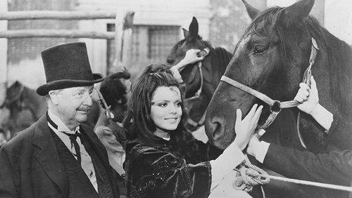 Black Beauty filmas žiurėti online