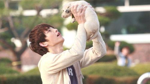 Hearty Paws 2 filmas žiurėti online