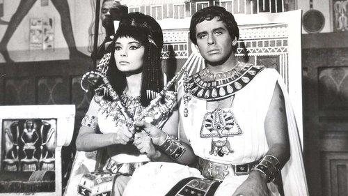 A Queen for Caesar filmas žiurėti online