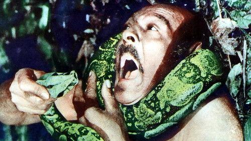 Macumba Love filmas žiurėti online