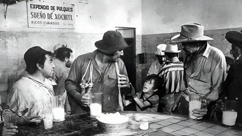 The Bricklayers filmas žiurėti online