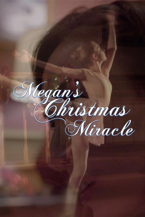 Megan's Christmas Miracle filmas online