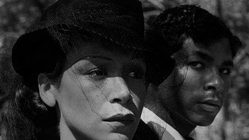 Book of Numbers filmas žiurėti online