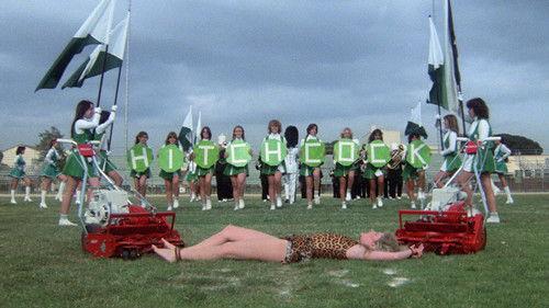 Wacko filmas žiurėti online