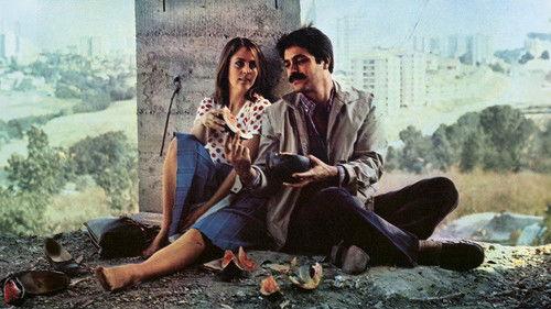 A Sip of Love filmas žiurėti online