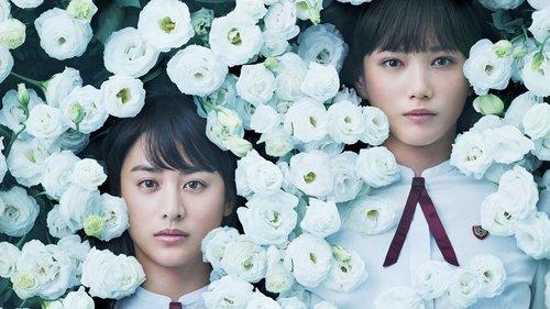 Night's Tightrope filmas žiurėti online