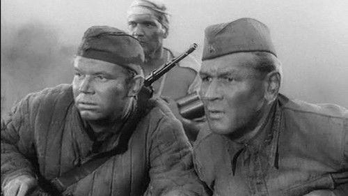 On the Roads of War filmas žiurėti online