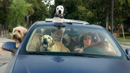 Year of the Dog filmas žiurėti online