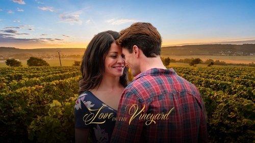 Love in the Vineyard filmas žiurėti online