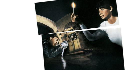 Palauk iki sutems filmas žiurėti online