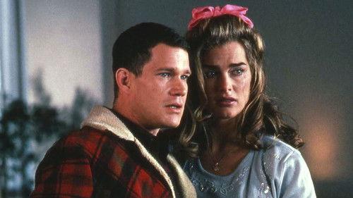 The Almost Perfect Bank Robbery filmas žiurėti online